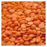 MASOOR DAL 500GM