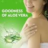 DETTOL ALOEVERA SOAP 100 GM