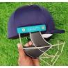 Gravity Cricket helmet