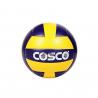 Cosco volleyball Acclaim