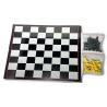 Magnetic Chess