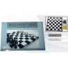 Magnetic Chess