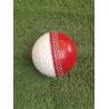 Reverse Swing Cricket Ball