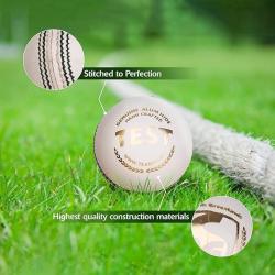 SG Test White Premium Leather Ball