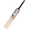 SM Drive X Kashmir Willow cricket Bat